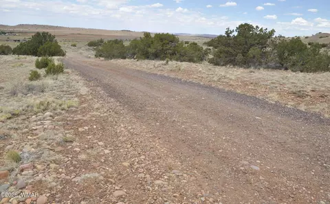 88 County Road 5035 # B, Concho, AZ 85924 photo 5