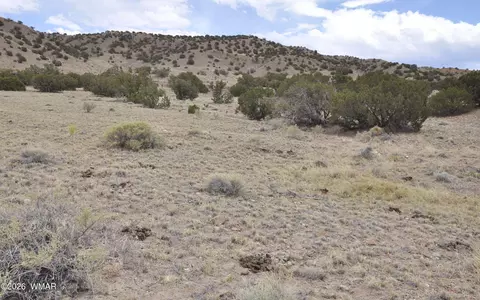 88 County Road 5035 # B, Concho, AZ 85924 photo 18