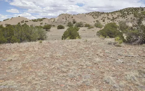 88 County Road 5035 # B, Concho, AZ 85924 photo 3