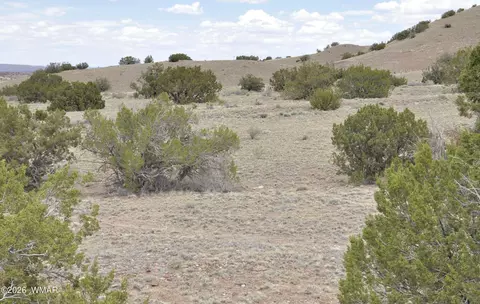 88 County Road 5035 # B, Concho, AZ 85924 photo 20