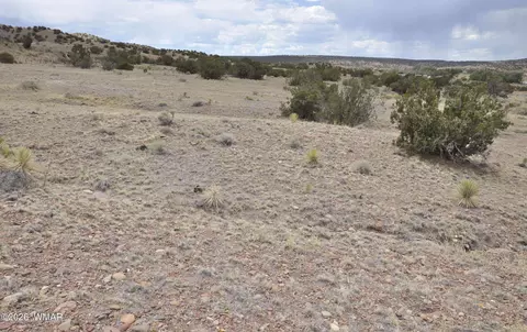 88 County Road 5035 # B, Concho, AZ 85924 photo 11