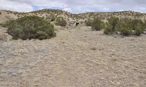 88 County Road 5035 # B, Concho, AZ 85924 photo 7