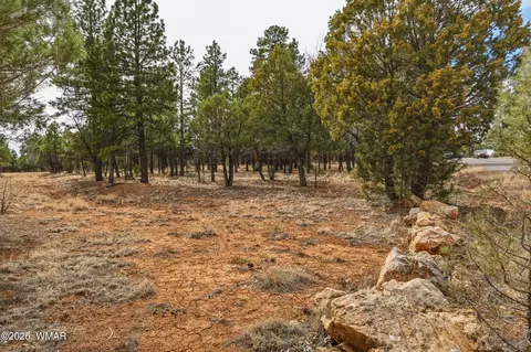 3212 Apache Dr, Happy Jack, AZ 86024