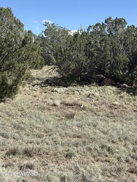 10 NE N8715, Concho, AZ 85924