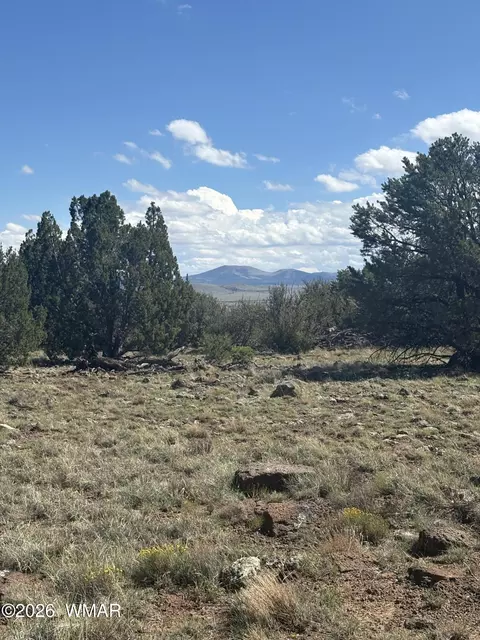0201 County Rd, Concho, AZ 85924
