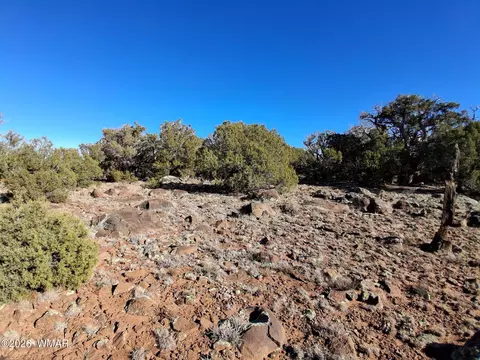 0202 County Road Rd, Concho, AZ 85924