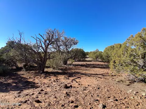 0202 County Rd, Concho, AZ 85924 photo 3