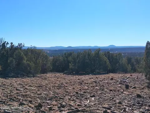 0202 County Rd, Concho, AZ 85924 photo 4