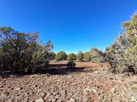 0202 County Rd, Concho, AZ 85924 photo 2