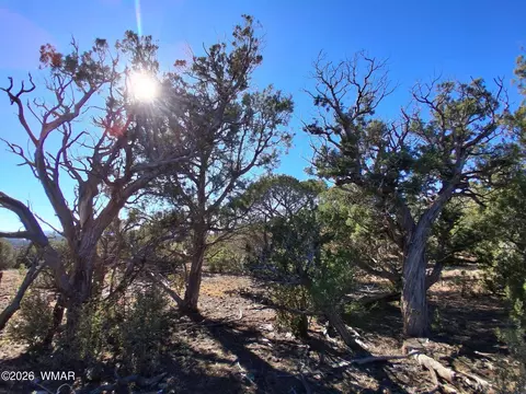 0203 County Rd, Concho, AZ 85924
