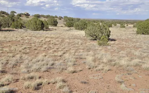 10 N9228, Concho, AZ 85924