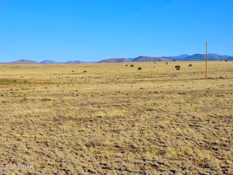 lot4 Cr 5074, Concho, AZ 85924