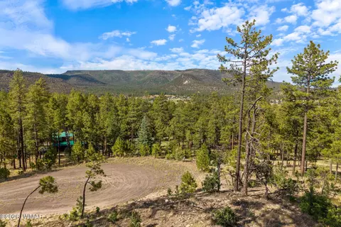 000 Cr 2193, Alpine, AZ 85920