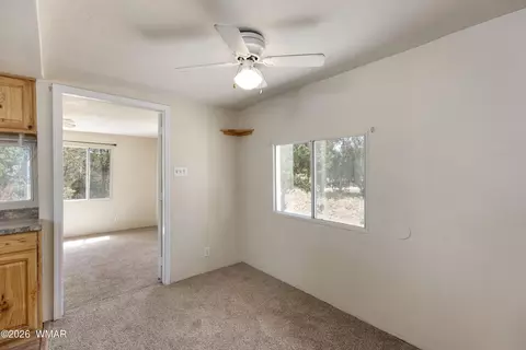 Other - 3611 Pine Rim Dr, Overgaard, AZ 85933 photo 4 of 7