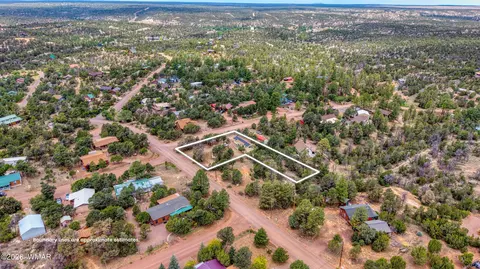 View/Area - 3611 Pine Rim Dr, Overgaard, AZ 85933 photo 3 of 3