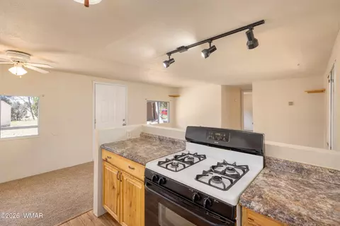 Other - 3611 Pine Rim Dr, Overgaard, AZ 85933 photo 3 of 7