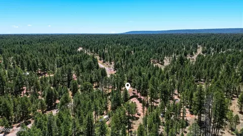 View/Area - 856 Coconino Loop, Happy Jack, AZ 86024 photo 5 of 5