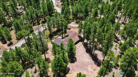 View/Area - 856 Coconino Loop, Happy Jack, AZ 86024 photo 4 of 5
