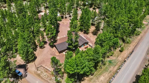 View/Area - 856 Coconino Loop, Happy Jack, AZ 86024 photo 3 of 5