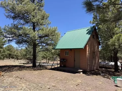 23 County Road N2163, Nutrioso, AZ 85932