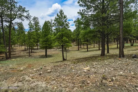 2799 Cherokee Way, Happy Jack, AZ 86024