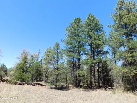 3100 Pinewood Dr, Overgaard, AZ 85933
