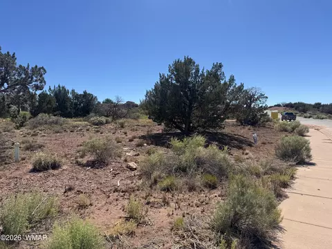 W Sand Trap Lane, Snowflake, AZ 85937