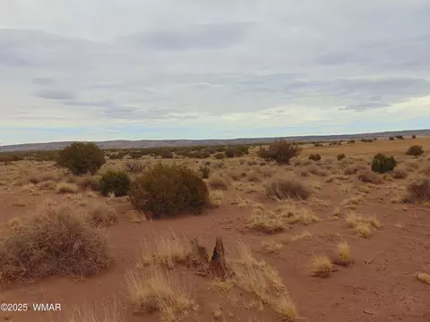 42 N5576, Concho, AZ 85924 photo 5