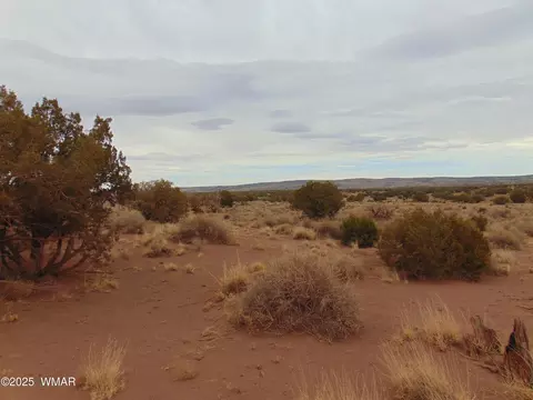 42 N5576, Concho, AZ 85924 photo 4