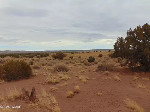 42 N5576, Concho, AZ 85924 photo 6