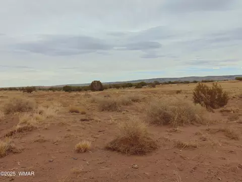 42 N5576, Concho, AZ 85924 photo 15