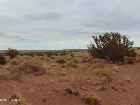 42 N5576, Concho, AZ 85924 photo 9
