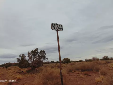 42 N5576, Concho, AZ 85924 photo 3