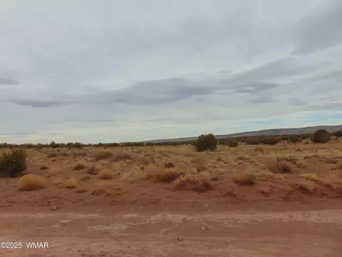 42 N5576, Concho, AZ 85924 photo 12