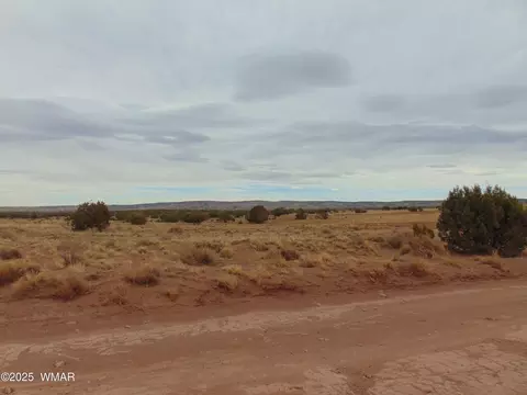 42 N5576, Concho, AZ 85924 photo 13