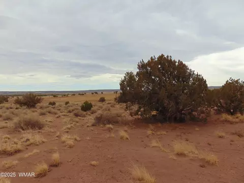 42 N5576, Concho, AZ 85924 photo 7