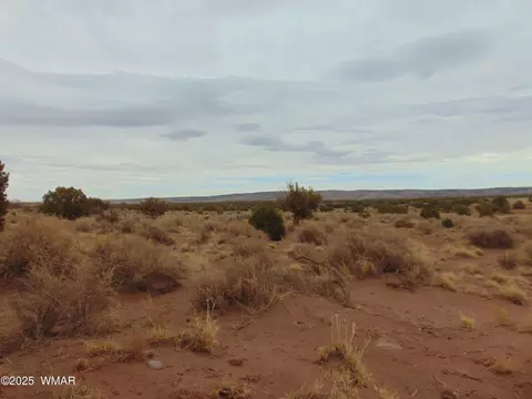 42 N5576, Concho, AZ 85924 photo 8