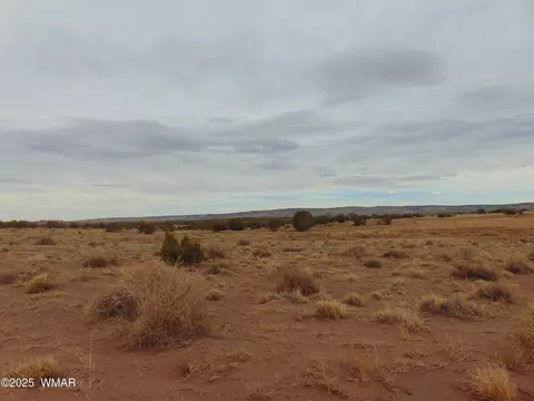 42 N5576, Concho, AZ 85924 photo 14