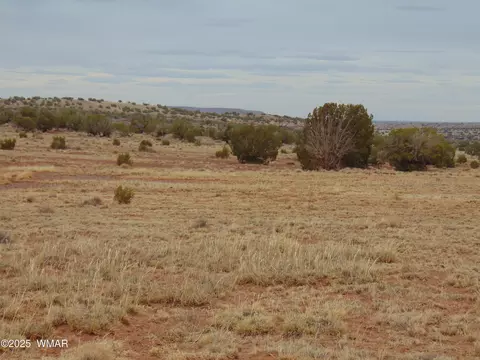 42 N5576, Concho, AZ 85924 photo 23