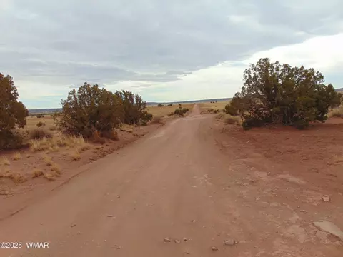 42 N5576, Concho, AZ 85924 photo 26