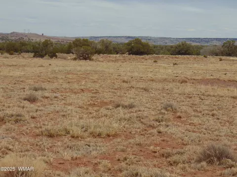 42 N5576, Concho, AZ 85924 photo 24