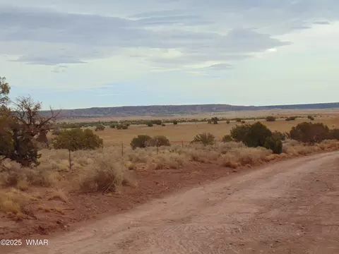 42 N5576, Concho, AZ 85924 photo 11