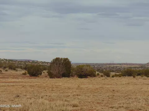 42 N5576, Concho, AZ 85924 photo 19