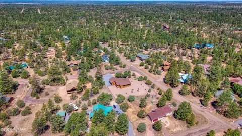 View/Area - 2979 Arrowhead Dr, Overgaard, AZ 85933 photo 3 of 3