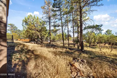 2181 Gingerbread Ln, Overgaard, AZ 85933 photo 18