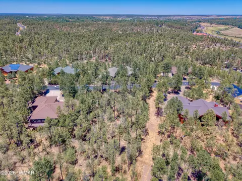 1101 E Pine Oaks Dr, Show Low, AZ 85901 photo 2