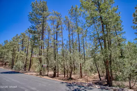 1101 E Pine Oaks Dr, Show Low, AZ 85901 photo 3