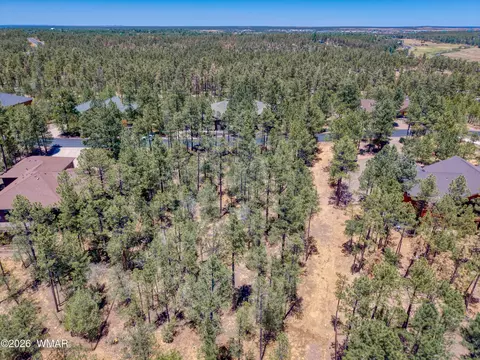 1101 E Pine Oaks Dr, Show Low, AZ 85901 photo 6