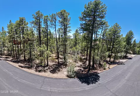 1101 E Pine Oaks Dr, Show Low, AZ 85901 photo 7