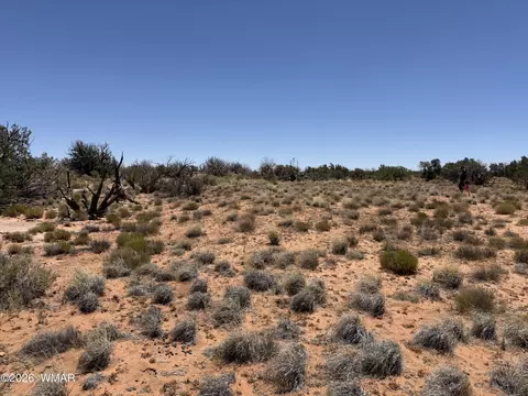 lot276 Chev Canyon Rnch #3, Heber, AZ 85928